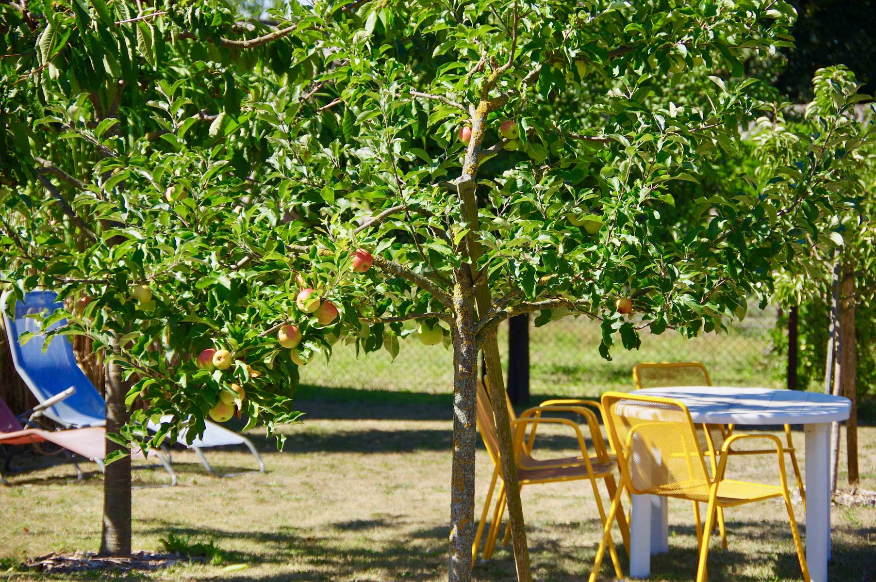 Innenansicht_Gueterboden_Garten_Apfelbaum.jpg